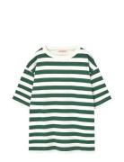 THE ANIMALS OBSERVATORY Stripes Freen Collie T-Shirt Grön