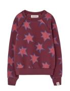 THE ANIMALS OBSERVATORY Stars Shark Sweatshirt Burgundy