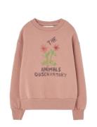 THE ANIMALS OBSERVATORY Flowers Dusty  Bear Sweatshirt Rosa