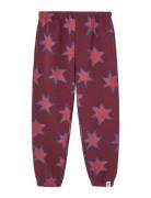 THE ANIMALS OBSERVATORY Stars Dromedary Sweatpants Burgundy