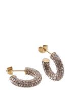 Bud To Rose Lola Crystal Hoop Gold Guld