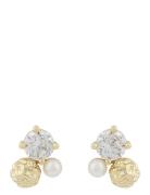 SNÖ Of Sweden Brittany Small Ear G/Clear - Guld