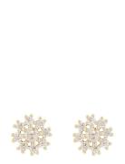 SNÖ Of Sweden Trinnie Round Ear G/Clear - Guld