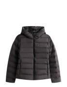 Tommy Jeans Tjw Slim Hood Prnt Down Jckt Ext Svart