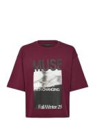 Copenhagen Muse Cmmuse-Tee Burgundy