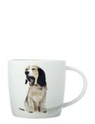 Maxwell & Williams Mugg 400 Ml Multi/patterned