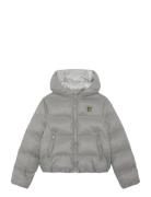 Lyle & Scott Cropped Puffer Coat Grå