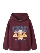 Name It Nkfrycca Ls Nreg Sweat Wh Bru Box Burgundy