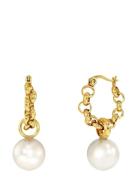 Edblad Lexie Hoops Gold Guld