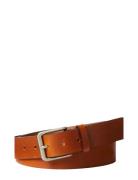 Calvin Klein Casual Pin Buckle 35Mm Fixed Brun