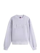 Tommy Jeans Tjw Bxy Gmd Script Crew Grå