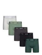 Hollister 5-Pack Longer Length Svart