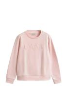 GANT Tonal Graphic C-Neck Sweat Rosa