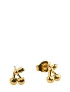 Timi Of Sweden Amour - Cherry Stud Earrings Stainless Steel Guld