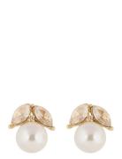 SNÖ Of Sweden Eira Pearl Ear G/Champagne - Guld