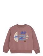 En Fant Sweatshirt Brun