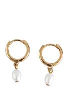 Timi Of Sweden Pearlpearl Small Hoop Earrings Stainless Steel Guld