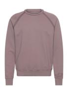 C.P. Company Crew Neck Sweatshirt Lila