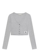 Calvin Klein Jeans A-Ls Woven Label 2X2 Cotton Rib Grå